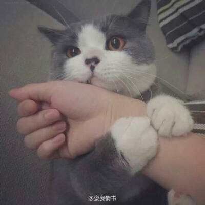 轴向磁通电机研究取得新突破 “夹心饼干”助力驱动产业发展